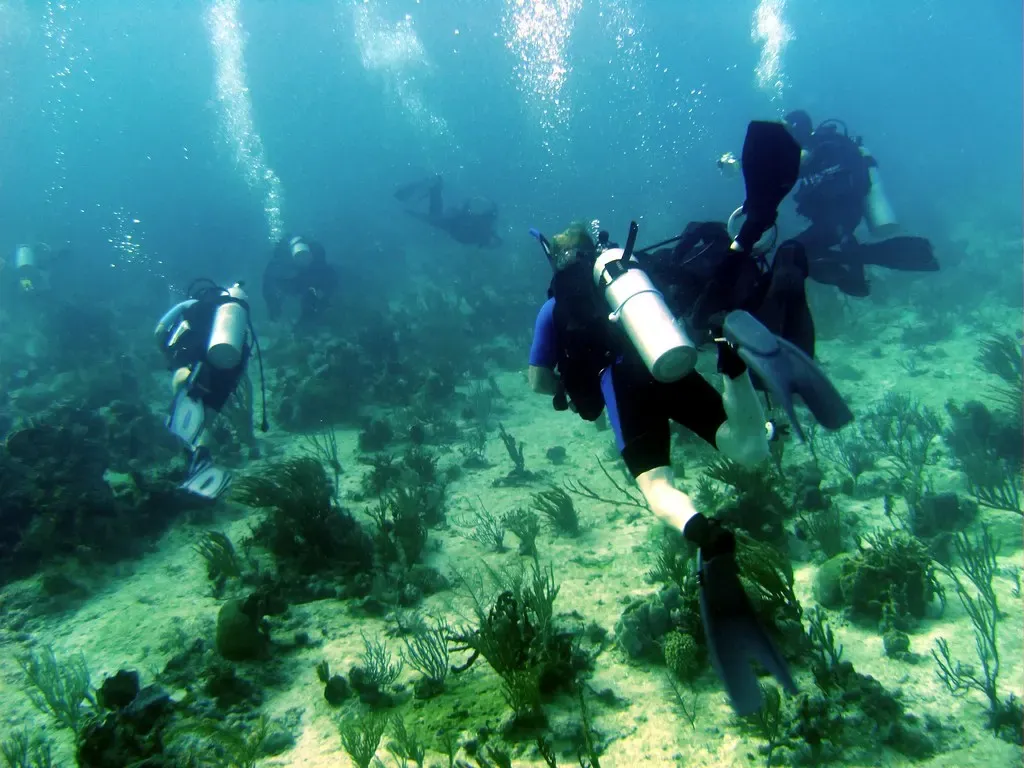 Divers fin low over a sandy, grass-covered reef dotted with soft coral heads — Exuma Cays.