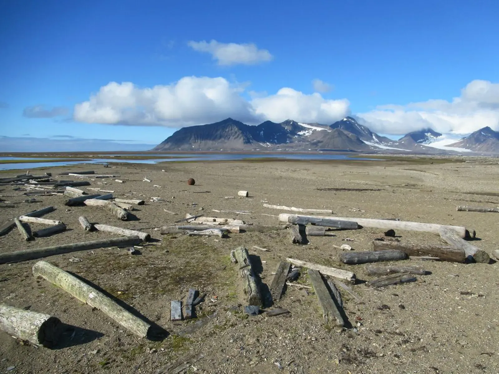 Driftwood scattered across the gravel headland at Poolepynten, with mountains across the fjord — Svalbard.