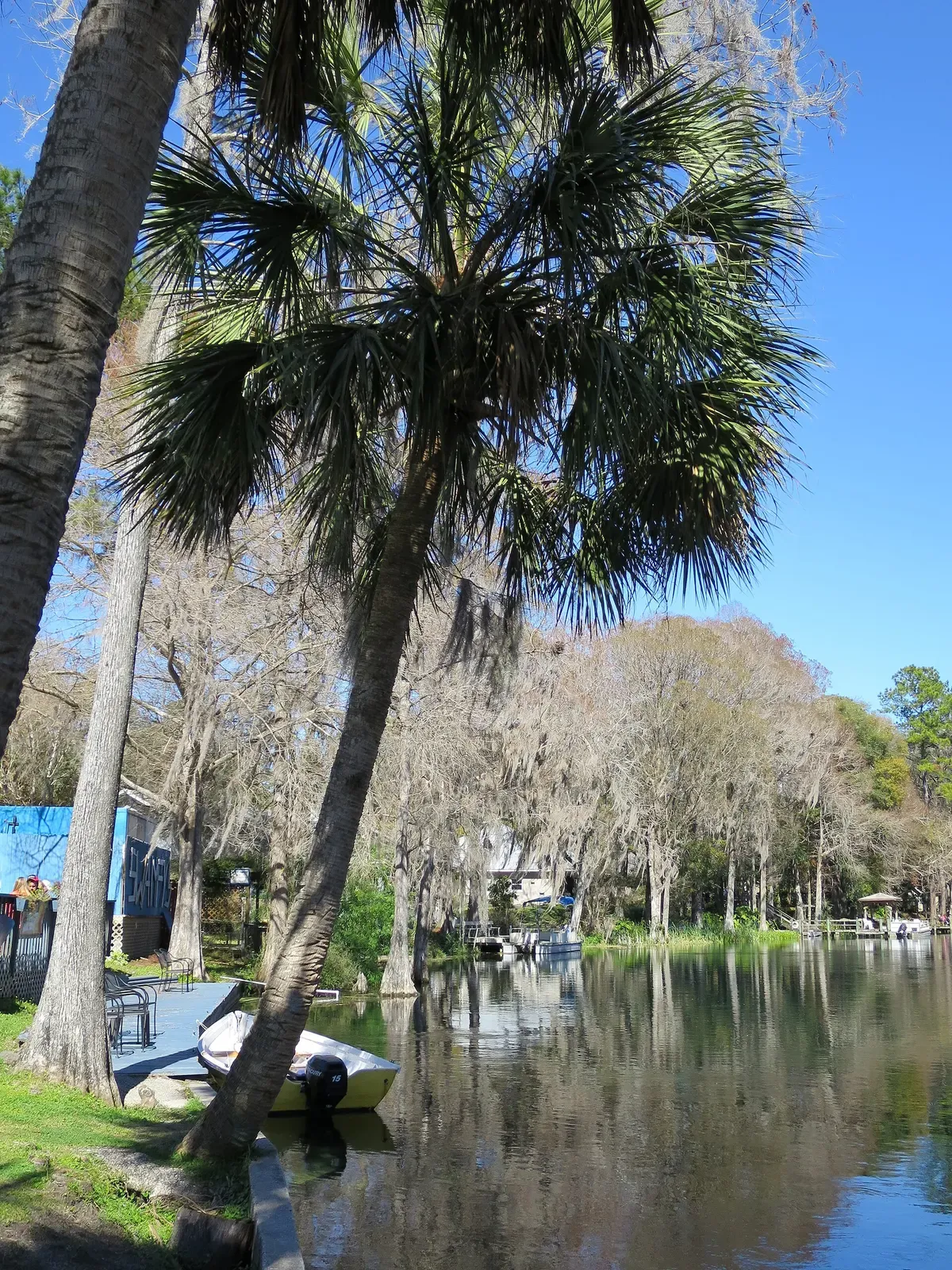 Palm-lined riverbank with a small boat moored on the Rainbow River — Crystal River