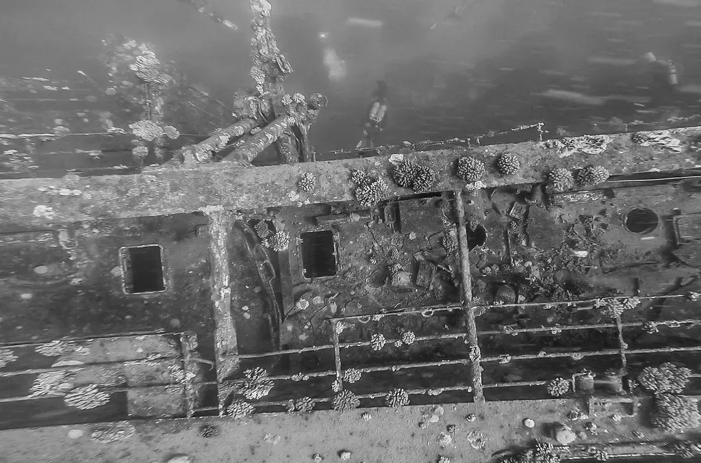 Weathered superstructure of the Salem Express wreck, coral growth along the beams and portholes — Safaga
