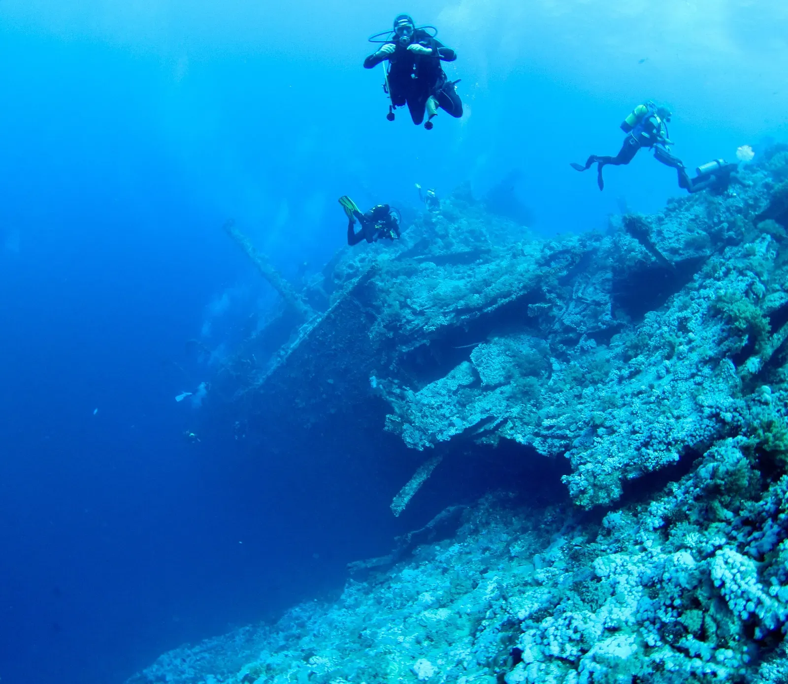 Divers hovering above the wreck's superstructure near the surface — Numidia Wreck, Brothers & Daedalus