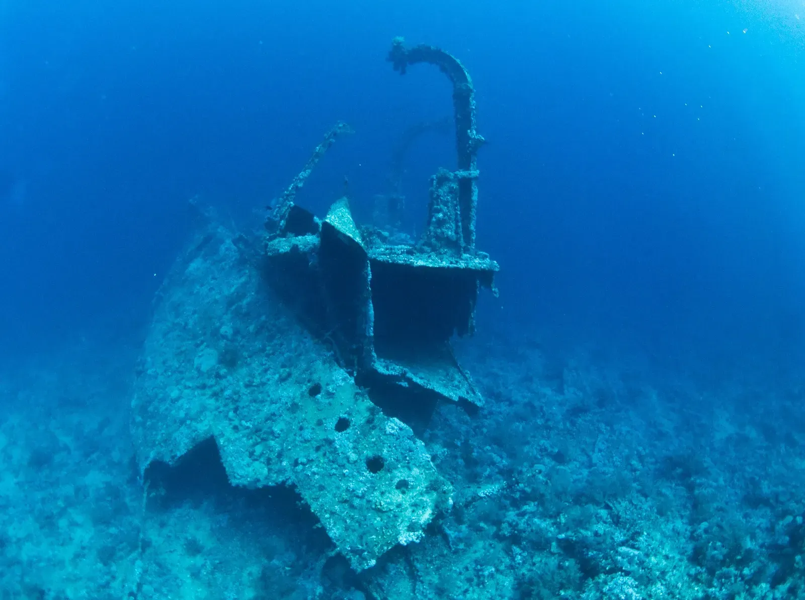The stern of the Aida troop transport wreck rising from the wall at Big Brother Island — Brothers & Daedalus