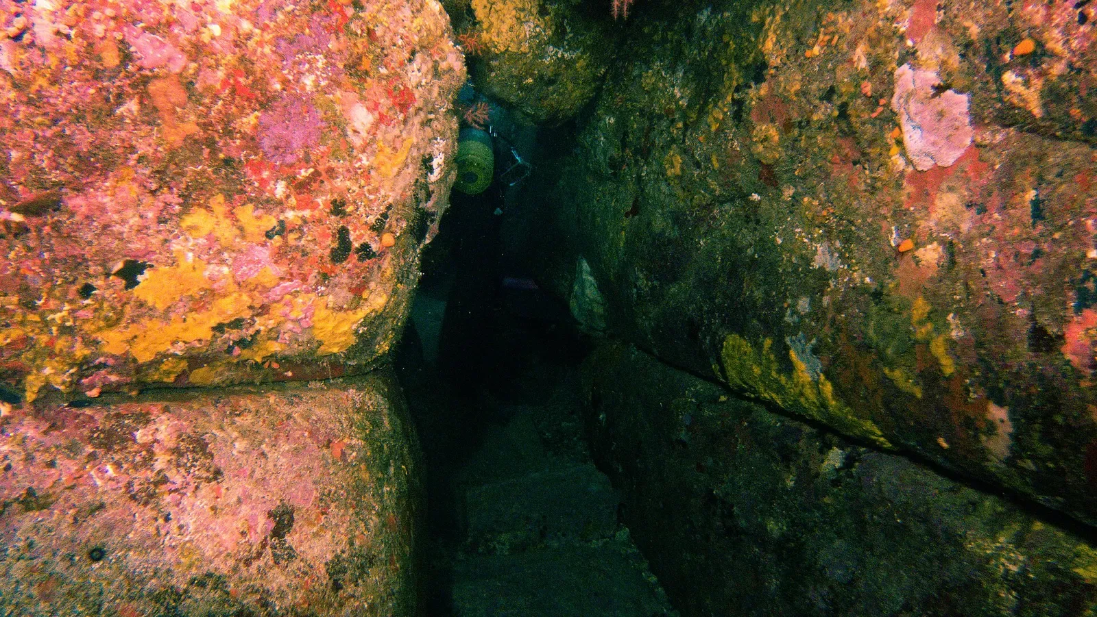 A diver explores a narrow, coral-encrusted crevice within the Yonaguni Monument rock formation.