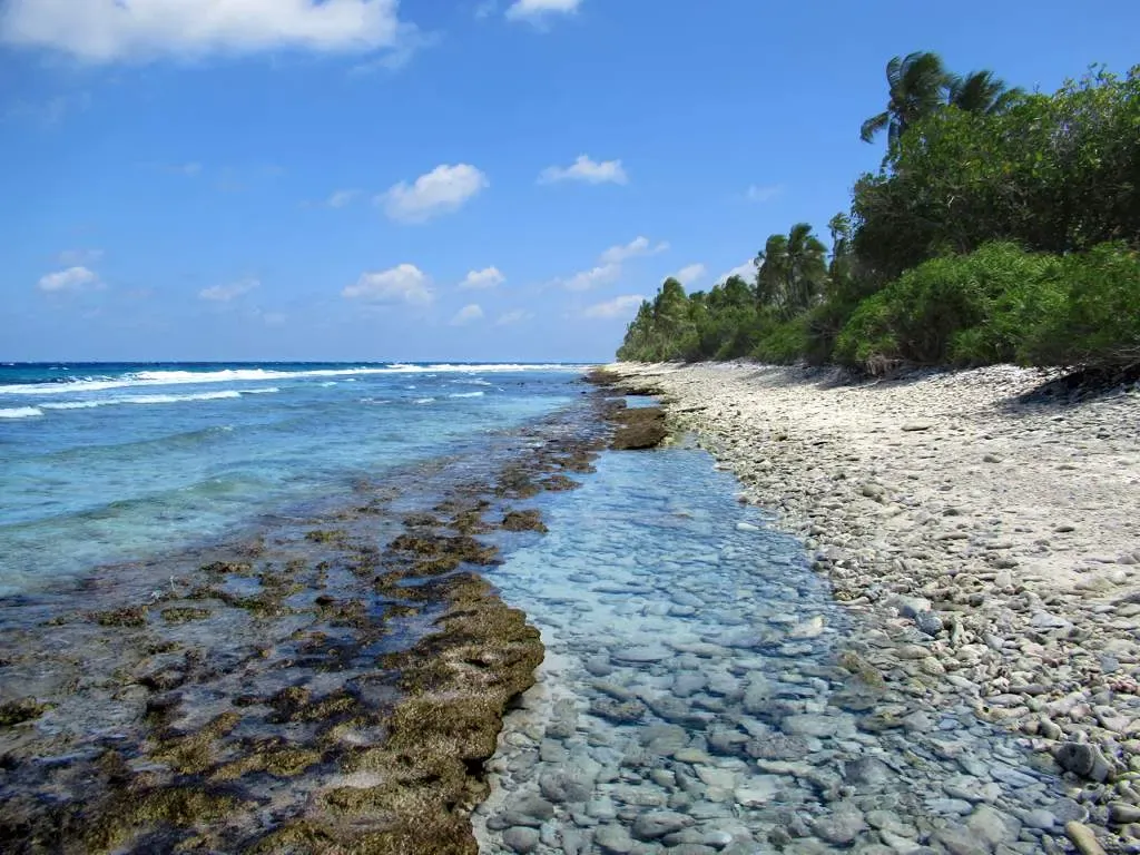 Reef-flat coastline of coral rubble and shallow water lined with palm trees — Addu Atoll