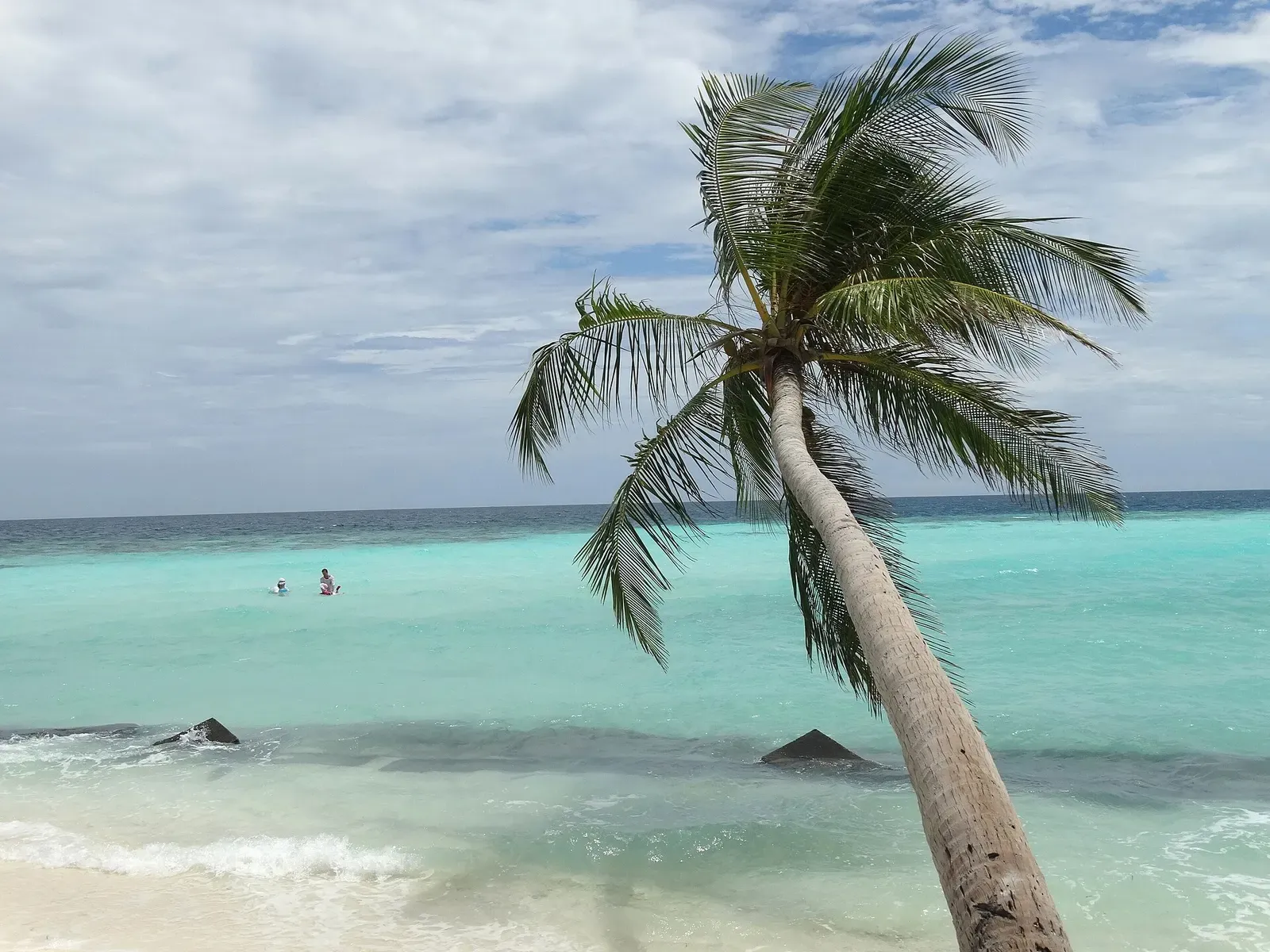 A leaning palm tree over a beach with turquoise water on Maafushi island