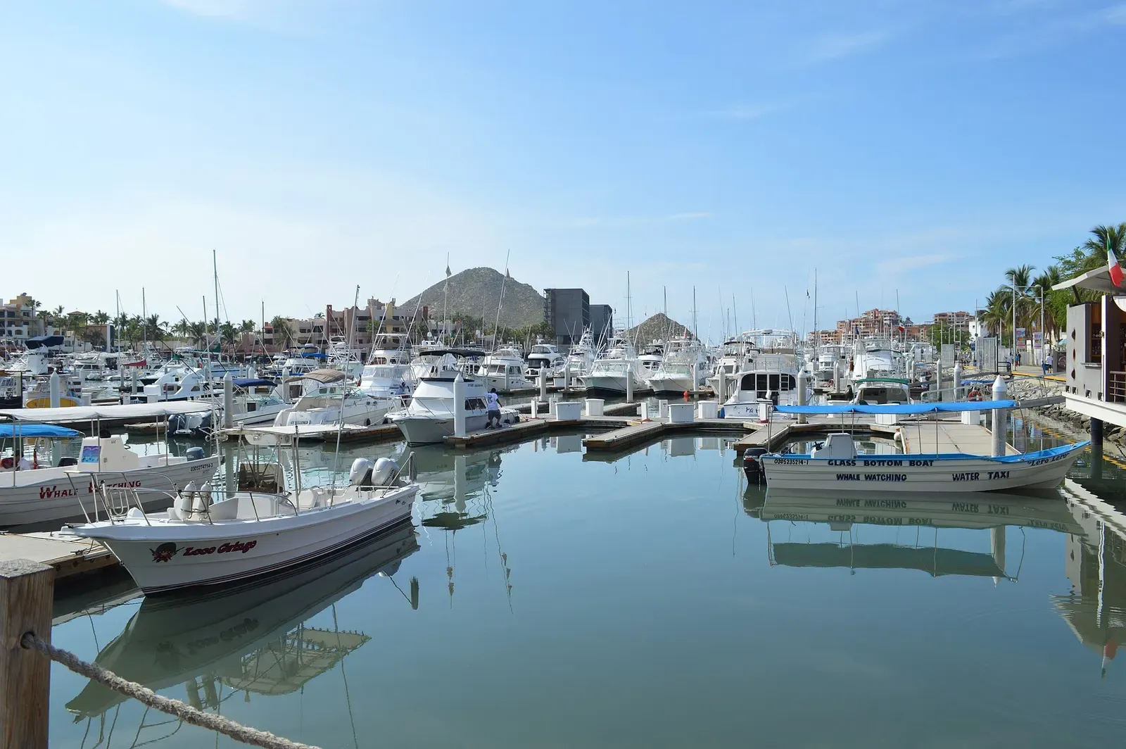 Sport-fishing boats moored in a calm marina with a dry hill behind — Los Cabos