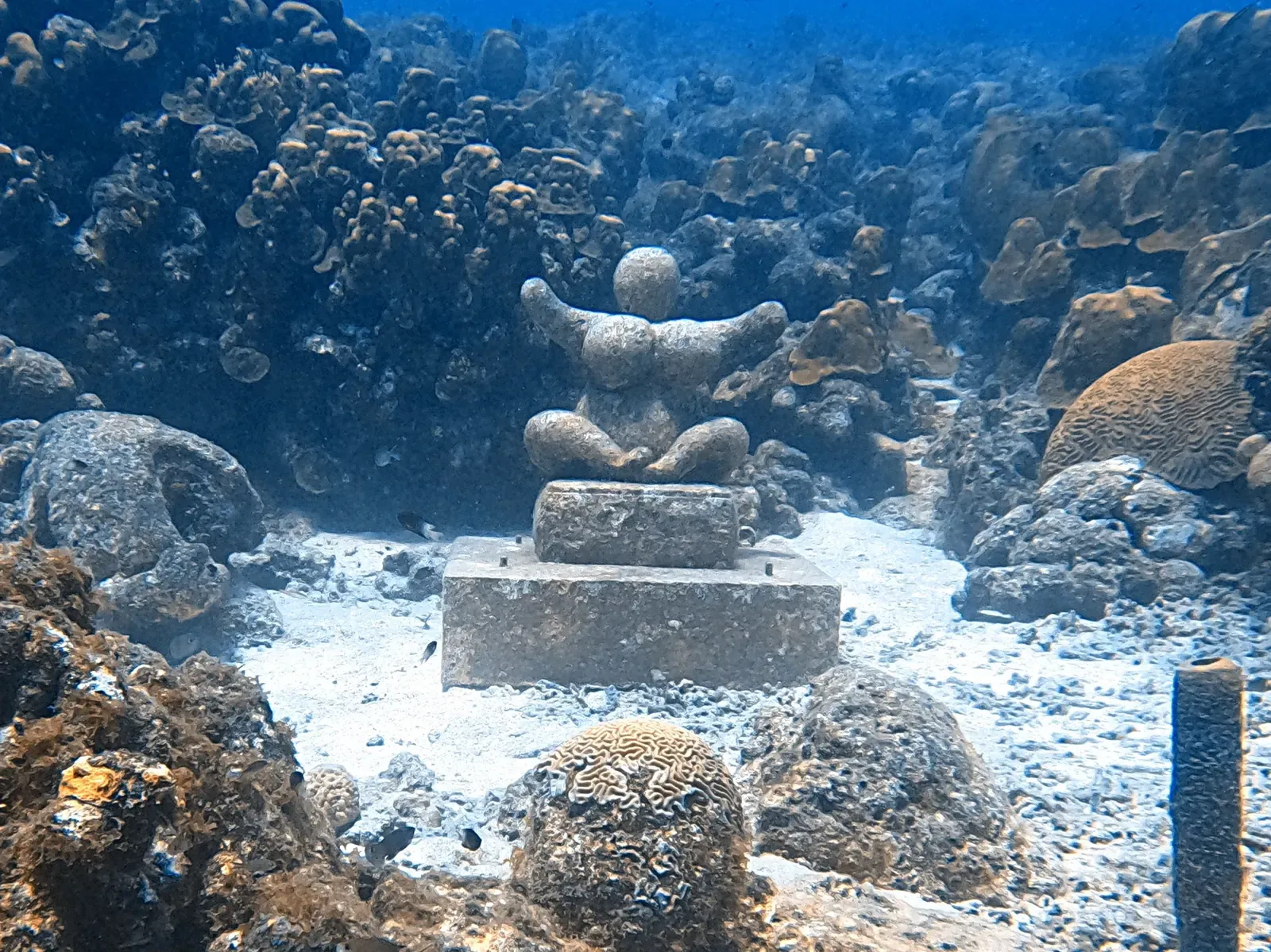 A Chichi statue on the sand, ringed by lobed star coral heads and brain coral on the Playa Kalki reef — Curaçao