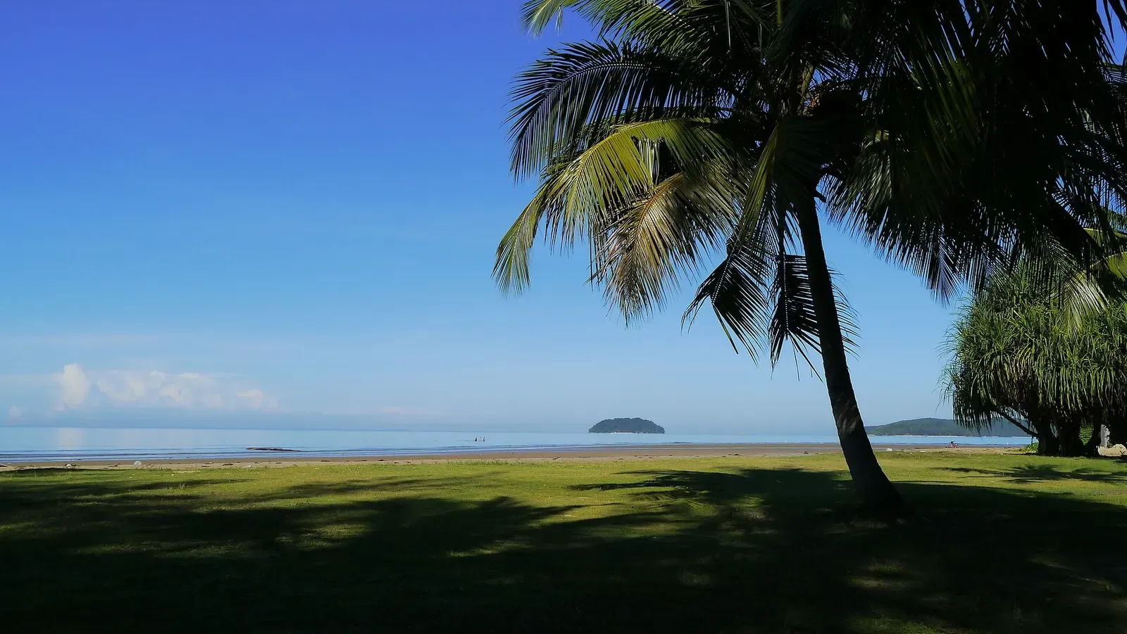 Palm trees framing a view of Sapi Island across calm water from Kota Kinabalu's shore