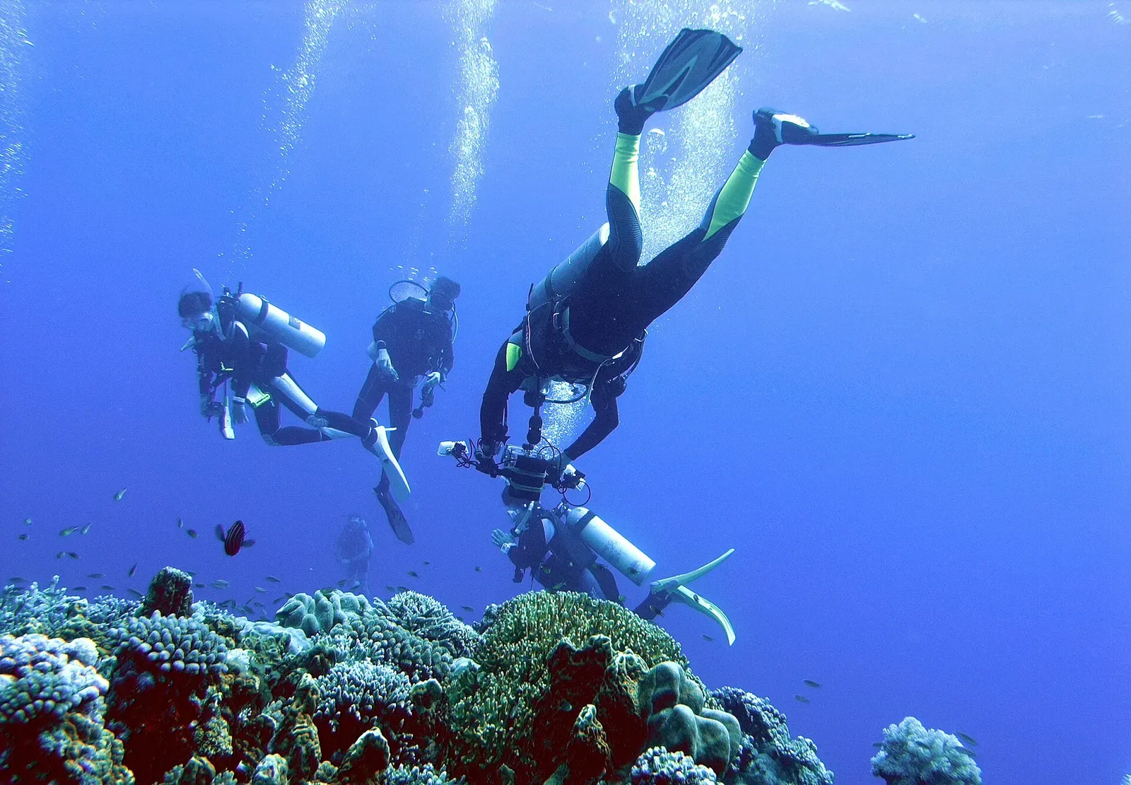 Three divers descend through open water toward a coral reef top below — Layang-Layang.