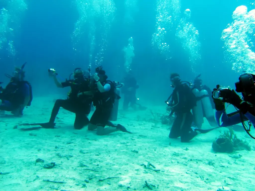 A group of divers kneels on the sand photographing marine life at a reef site — Exuma Cays.