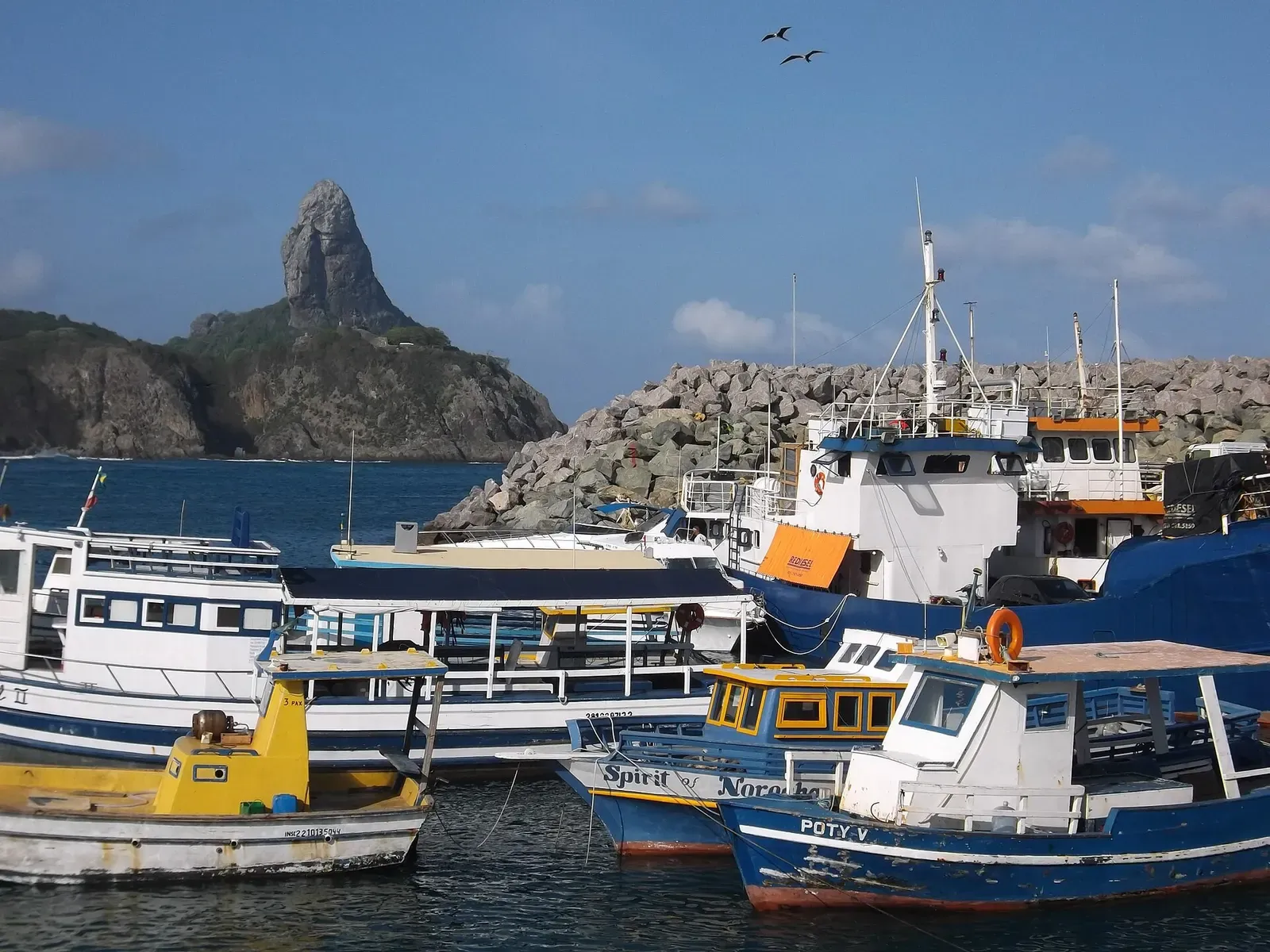 Dive and fishing boats moored in the harbor at Vila dos Remédios, with Morro do Pico rising behind — Fernando de Noronha