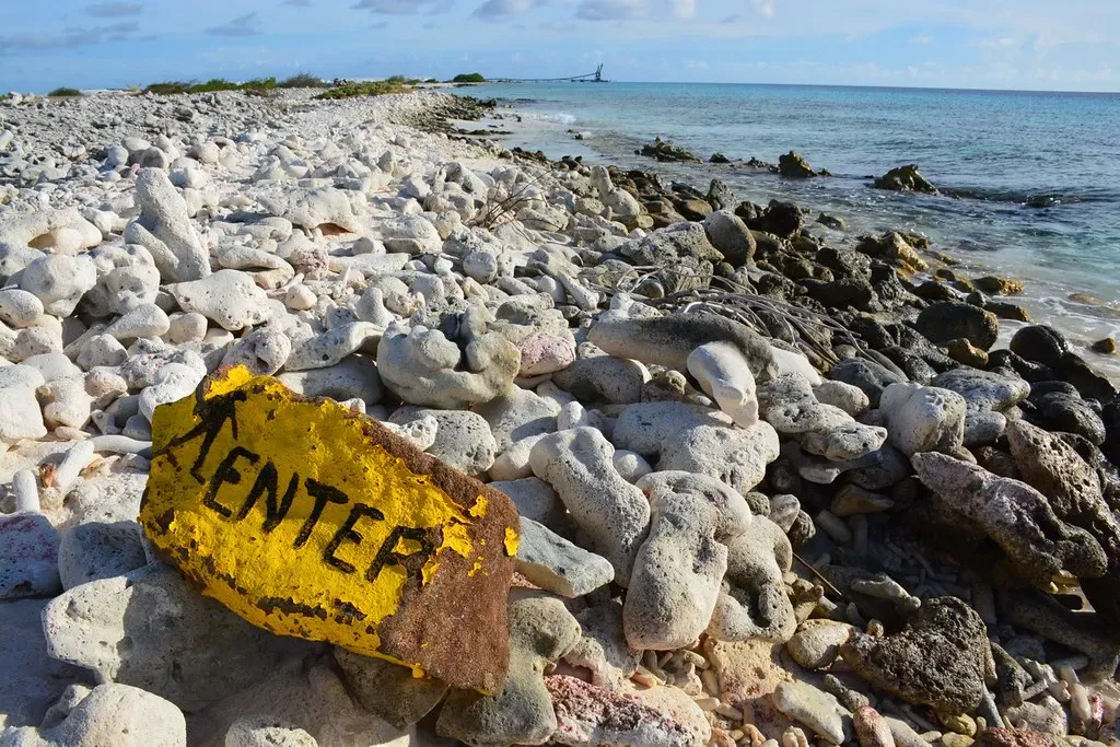 Sharp coral-rubble ironshore on Bonaire's south-west coast, with a yellow dive-site marker and a flat sea beyond