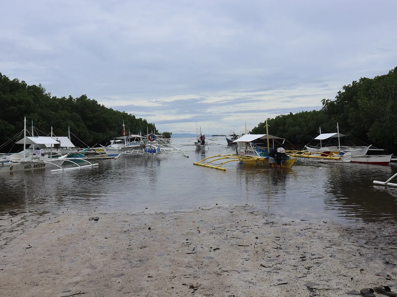 Outrigger boats drawn up along the shallow coast at Panglao Poblacion