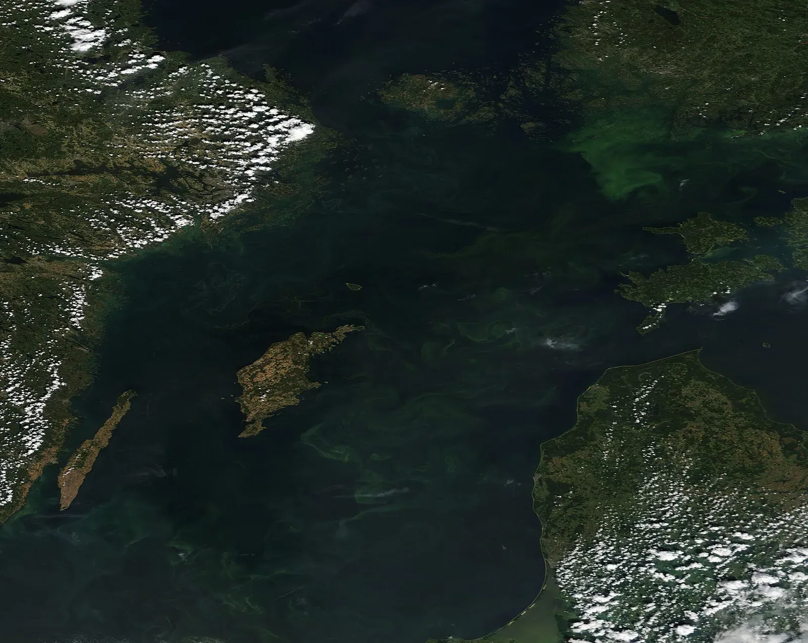 Satellite view of the Baltic Sea with green phytoplankton bloom swirls curling through dark water between Sweden and the Baltic states.