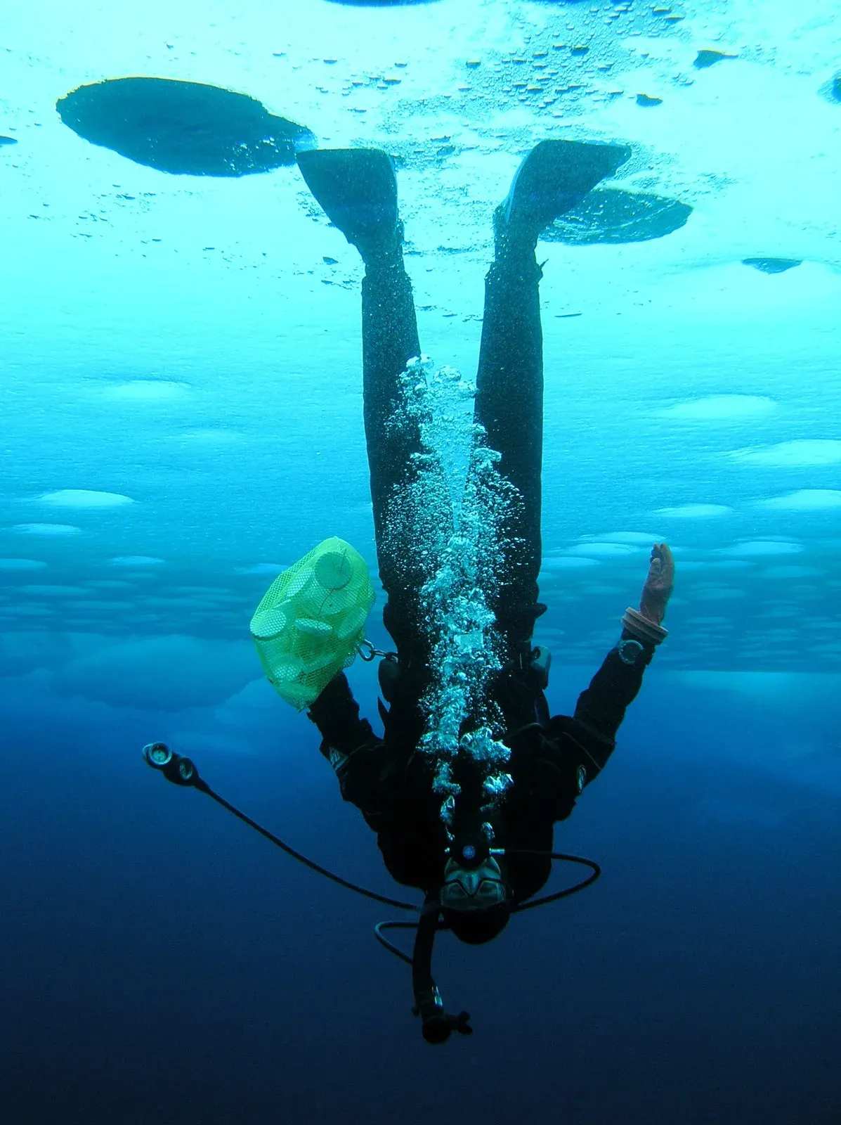 A diver upside down with fins pressed against the underside of Arctic sea ice, exhaled bubbles pooled on the ceiling
