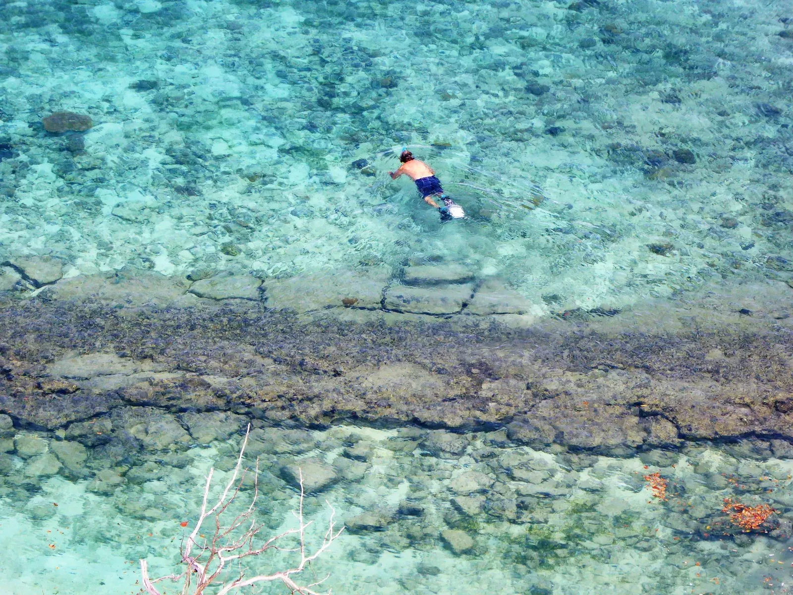A snorkeller seen from a rocky shore swimming over a shallow, crystal-clear reef flat