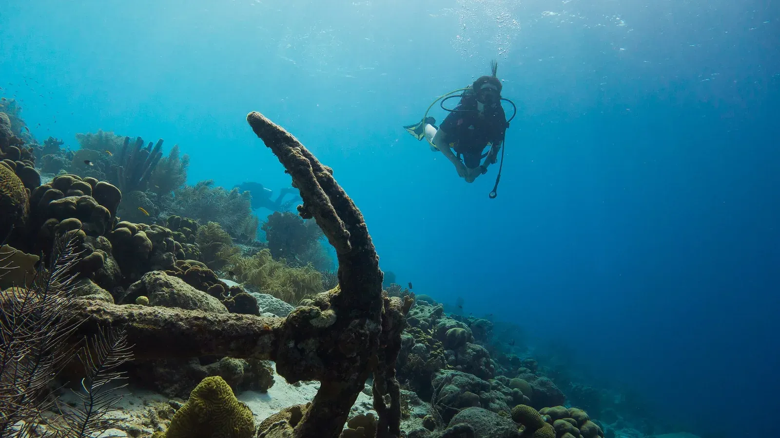 A diver swims past an old ship anchor on a shallow reef in clear blue water off Bonaire