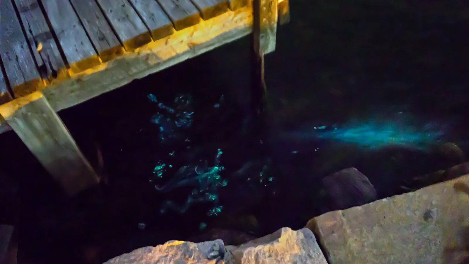 Swirls of blue-green bioluminescence in dark harbour water beside a wooden jetty, stirred up with a stick