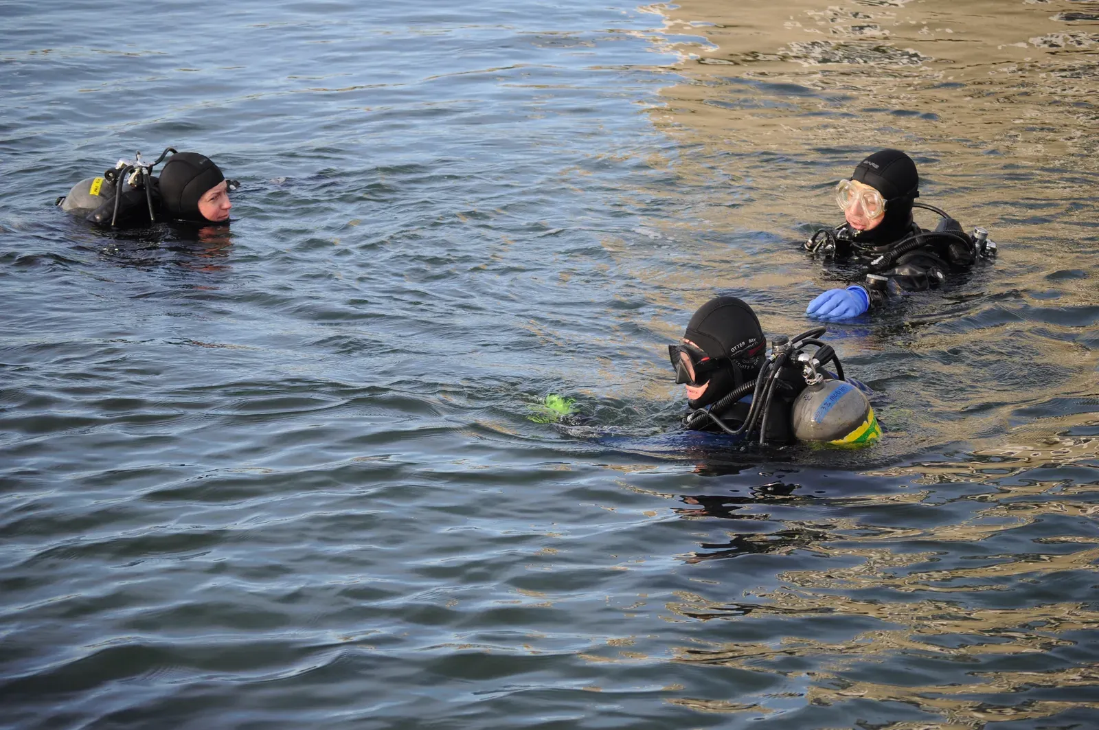 Three divers at the surface in black drysuits with hoods, gloves, masks and cylinders, floating in rippled green-brown water near a sandy shore.