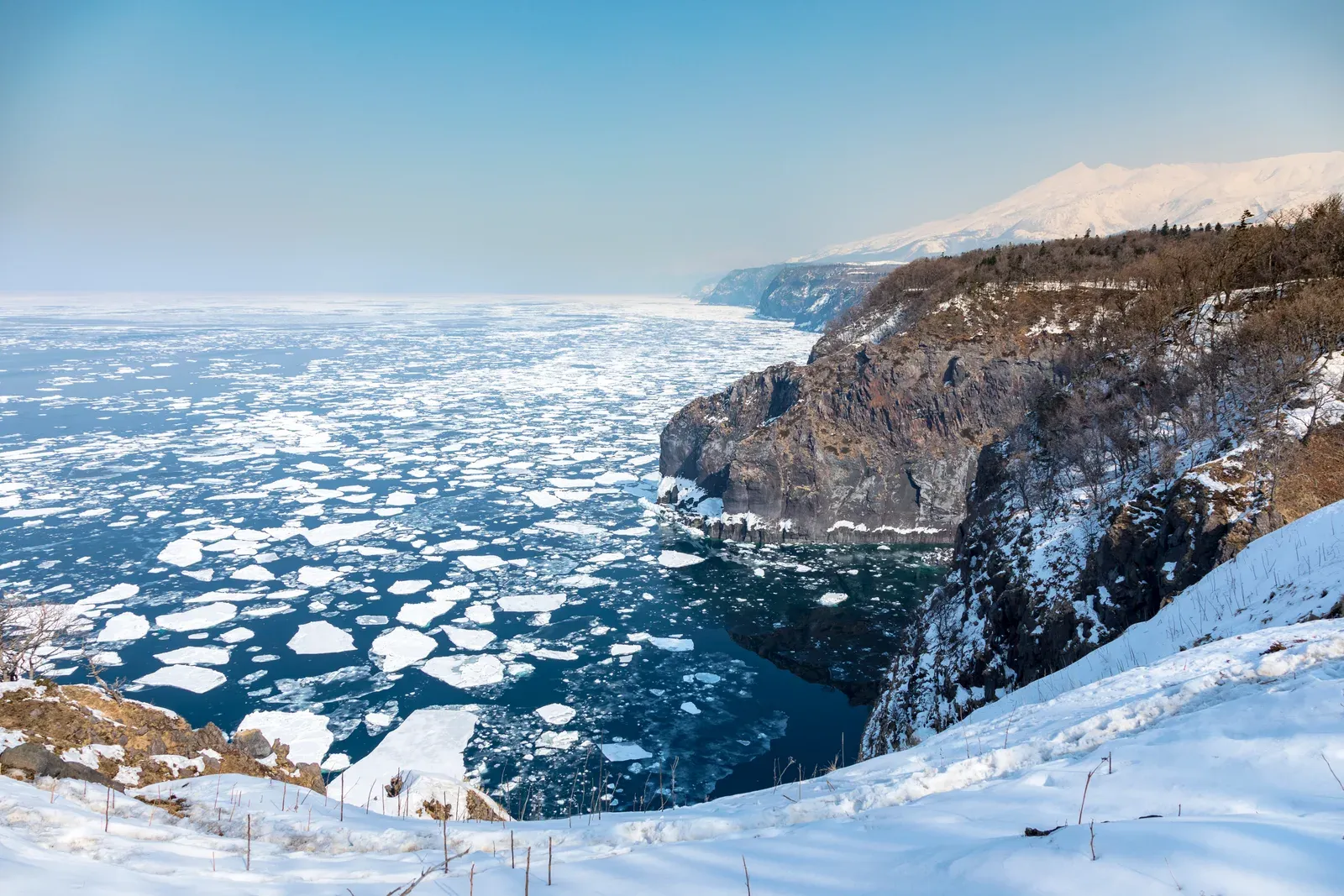 Drift ice floes packed against sea cliffs on the Shiretoko Peninsula, with snow-covered mountains behind