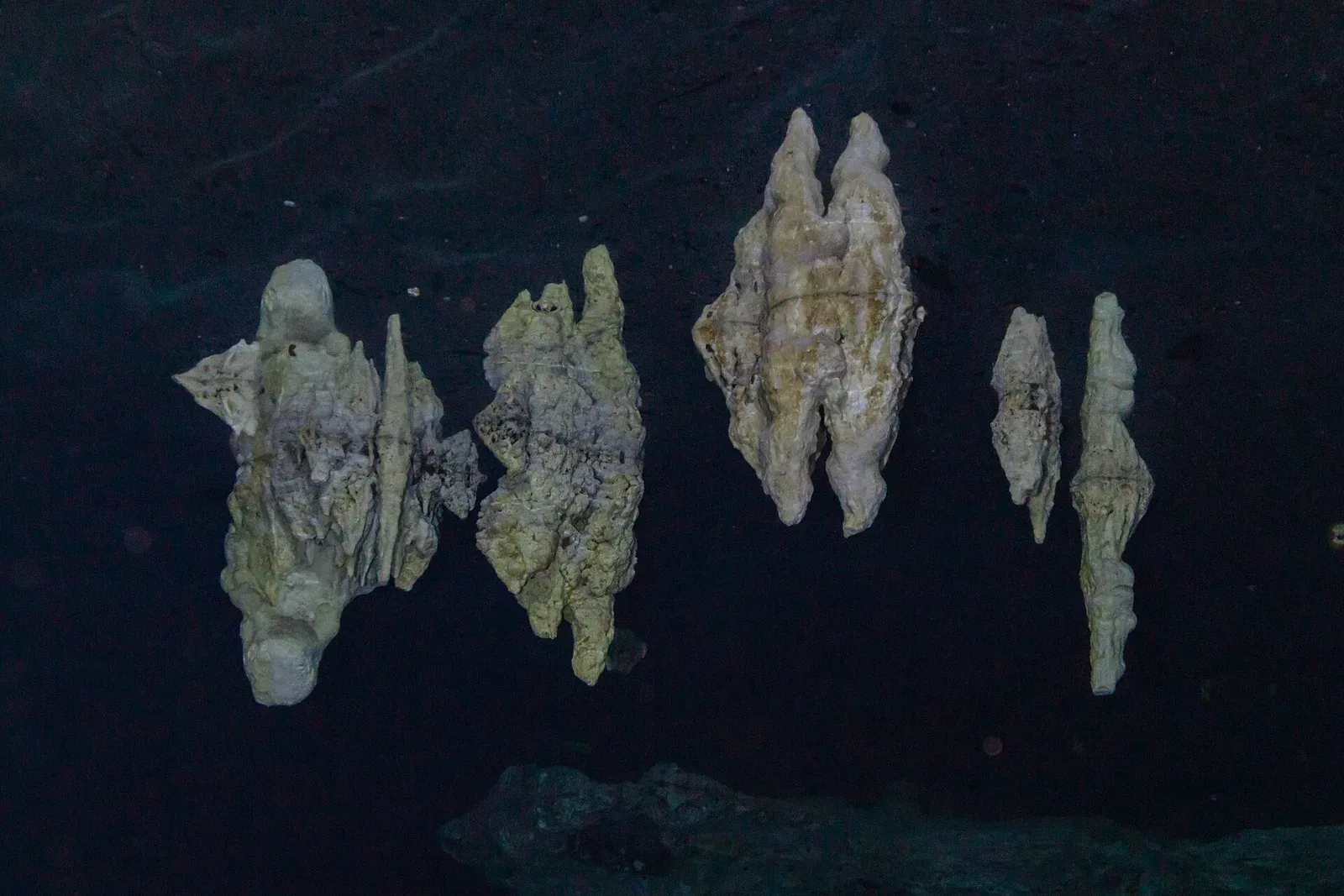 Pale limestone stalactite columns standing in the dark water of Cenote Dos Ojos