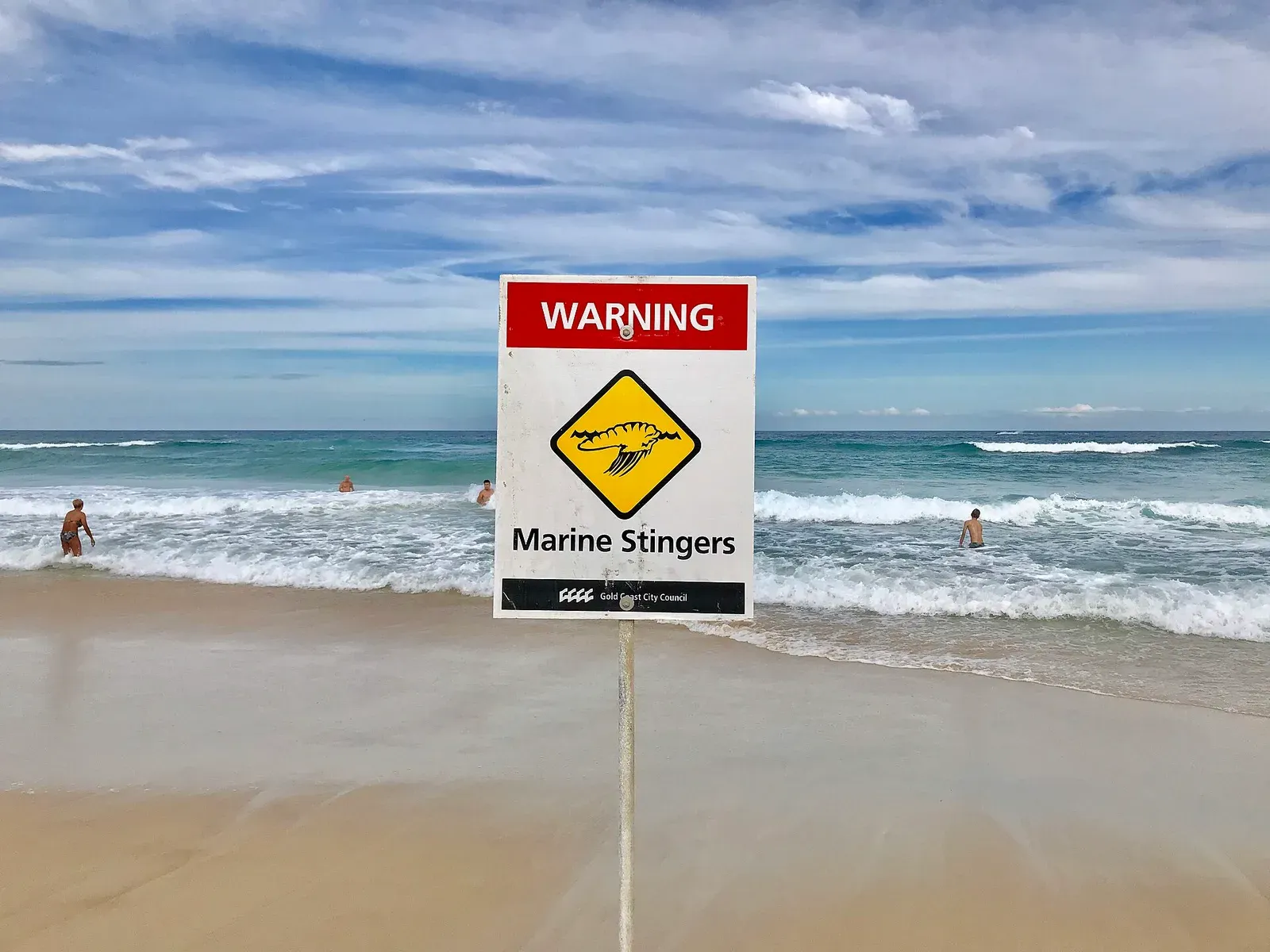 A red-and-white marine stingers warning sign planted on a Queensland beach with swimmers in the surf behind it