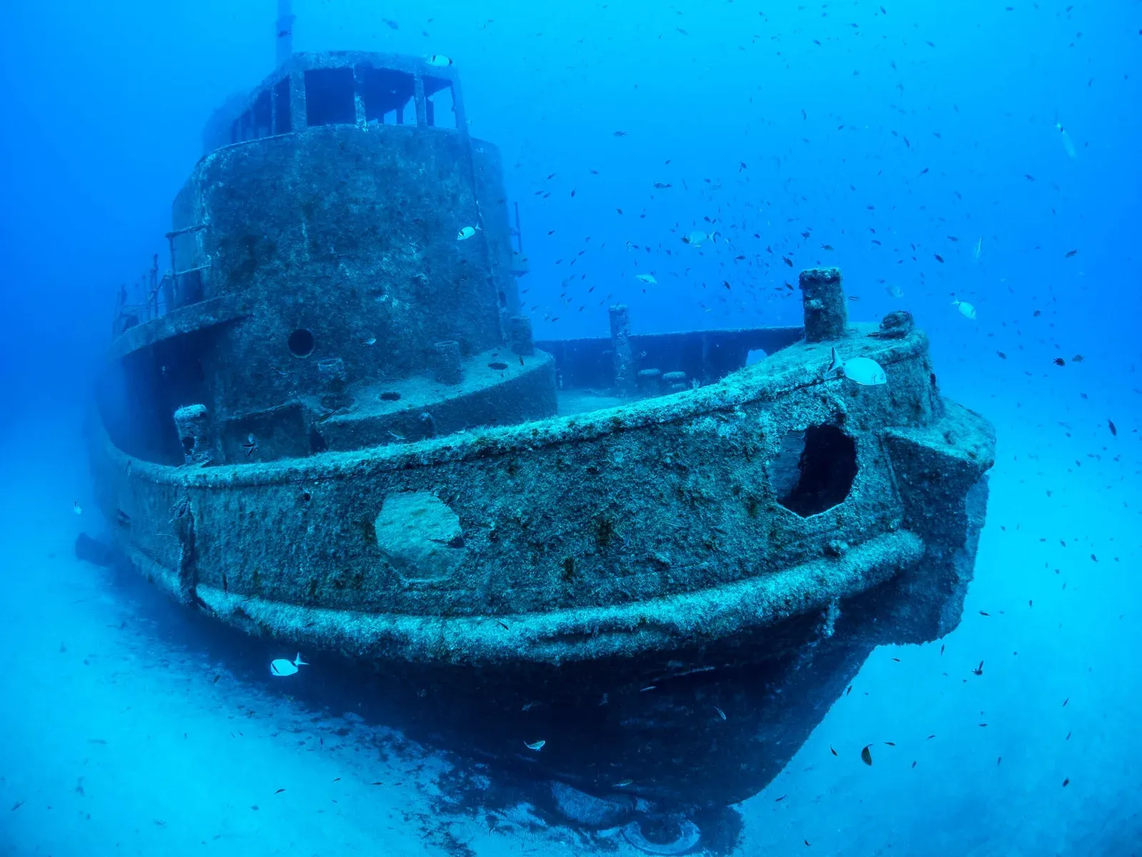 The bow and round wheelhouse of a small sunken tug sitting upright on pale sand, with a shoal of small fish around it