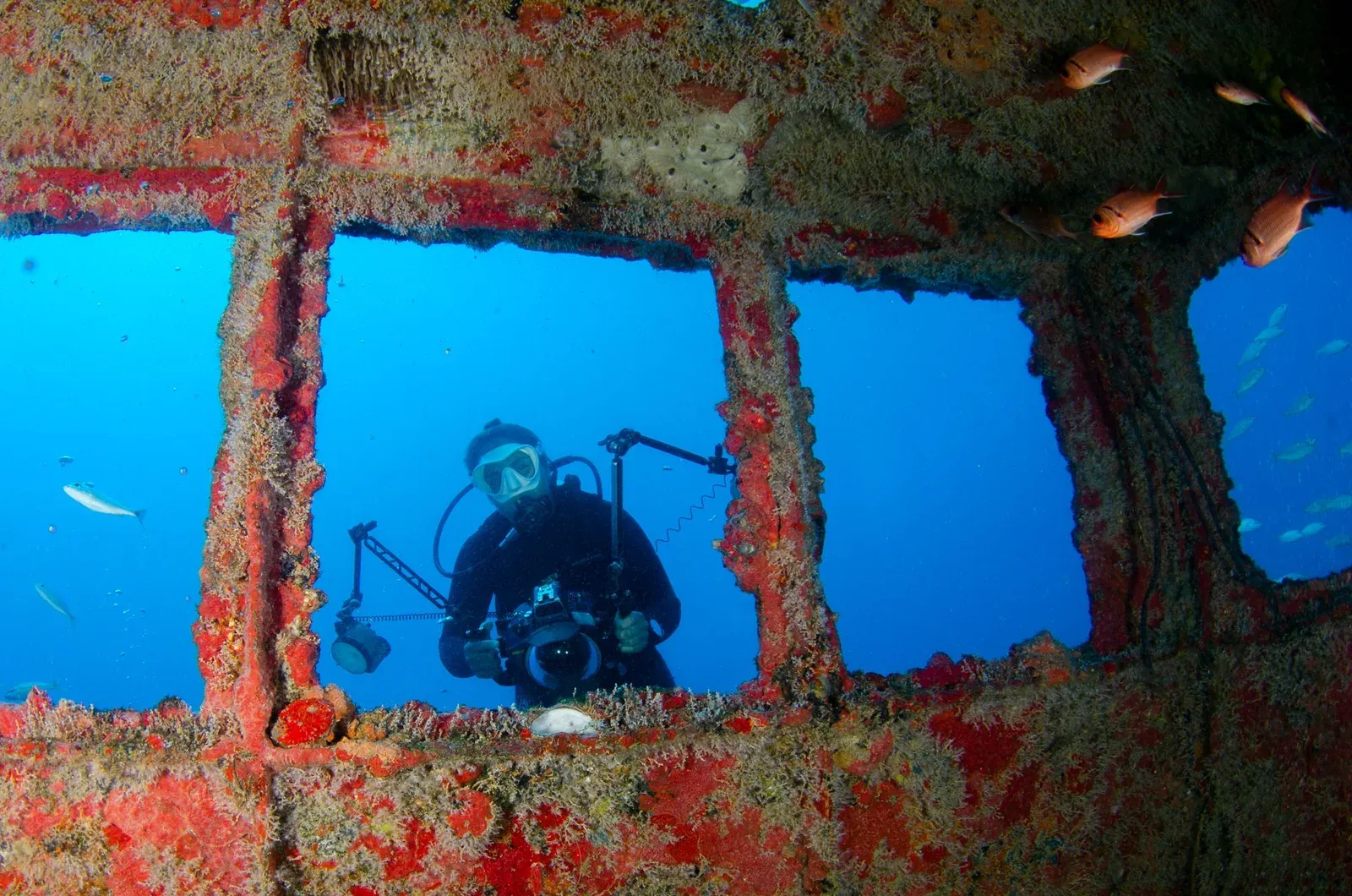 A diver with a camera framed in a square window of a coral-encrusted wreck